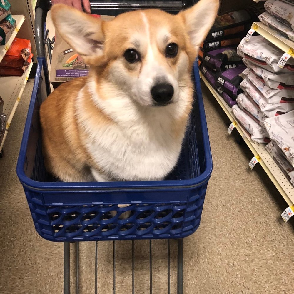 Meet your Posher, Veronica